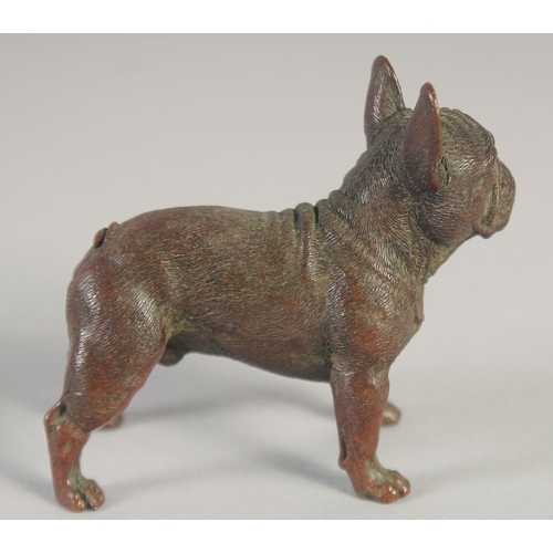 1392 - A SMALL AUSTRIAN BRONZE PUG DOG. 2.5ins long.