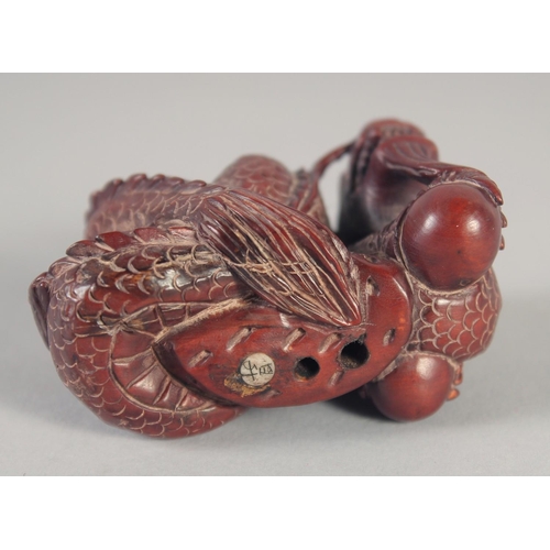 1393 - A CARVED WOOD DRAGON NETSUKE, signed. 2ins long.