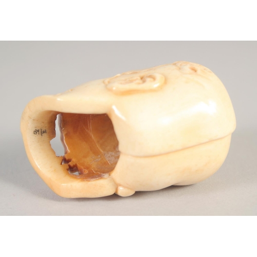 1395 - A SMALL CARVED BONE SKULL NETSUKE. 2ins