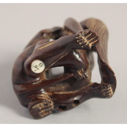 1400 - A CARVED WOOD EROTIC NETSUKE, signed. 1.5ins.