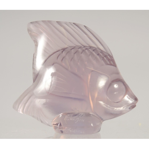 1408 - A SMALL LALIQUE GLASS FISH in original box. 2.5ins.