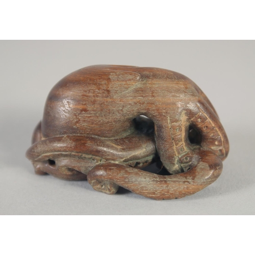 1420 - A JAPANESE CARVED WOOD OCTOPUS NETSUKE. Signed, 1.75ins.