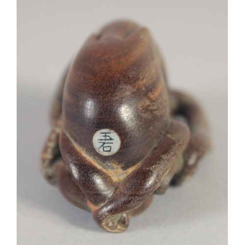 1420 - A JAPANESE CARVED WOOD OCTOPUS NETSUKE. Signed, 1.75ins.