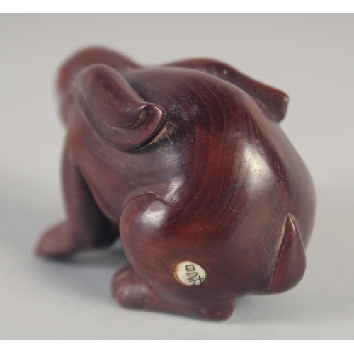 1421 - A JAPANESE CARVED WOOD RABBIT NETSUKE. Signed, 2ins.