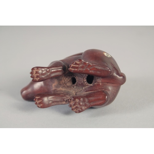 1421 - A JAPANESE CARVED WOOD RABBIT NETSUKE. Signed, 2ins.