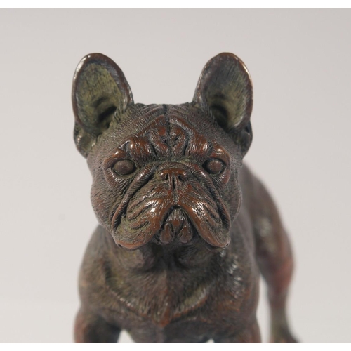 1438 - A CAST BRONZE MODEL OF A DOG. 7.5cm long.