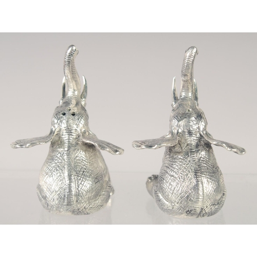 1493 - A PAIR OF 800 ELEPHANT SALT AND PEPPERS. 1.5ins high.