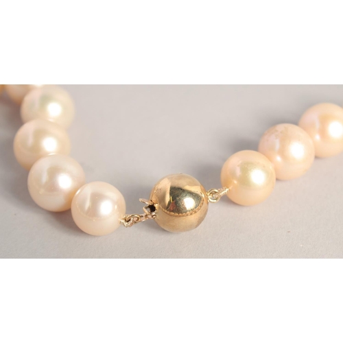 1550 - A ROW OF THIRTY ONE GRADUATED SOUTH SEA PEARLS with gold clasp.