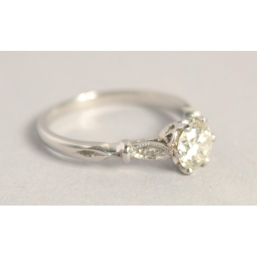 1551 - A SOLITAIRE DIAMOND RING with diamond shoulders.