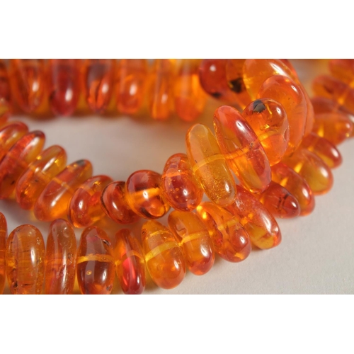 1568 - AN AMBER NECKLACE with graduated beads. 24ins long.