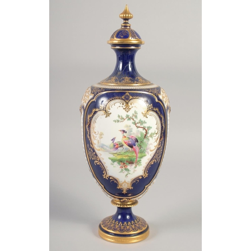 1083 - A ROYAL WORCESTER LARGE VASE painted with exotic birds in landscape on a cobalt blue ground in the m... 