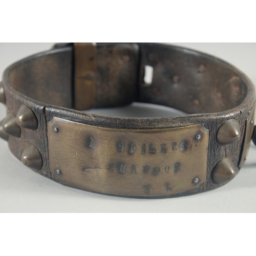 12 - A 17th CENTURY LEATHER STUDDED BRASS DOG COLLAR, with six brass settings, stamped, possibly Spilers ... 