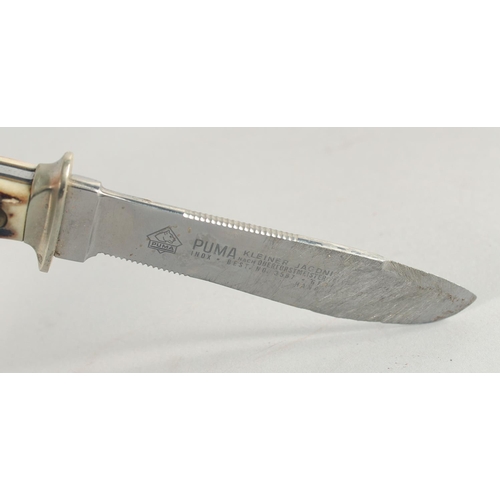 21 - ORIGINAL-PUMA-WAIDBLATT KINFE AND PUMA KLEINER JAGDNICKER KNIFE, both with antler handles 12.5