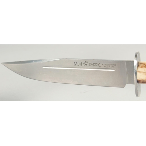 22 - A MUELA SARRIO SPANISH KNIFE, with an antler handle, 13