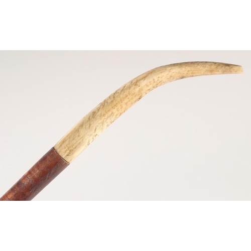 63 - A LONG BONE AND WOOD HANDLE KNIFE, 15