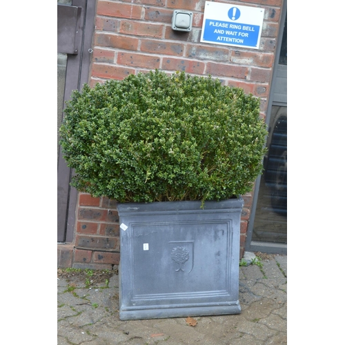 1 - A pair of large faux lead square shaped planters complete with box shrugs.