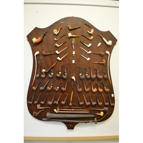 363 - A good large collection of smoking pipes mounted on an oak shield shaped plaque.