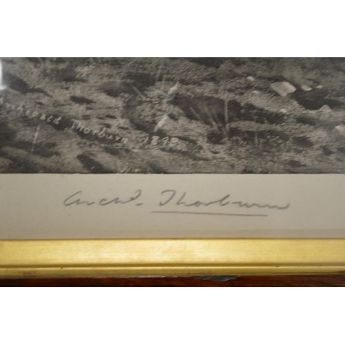 392 - Archibald Thorburn, partridge in flight, pencil signed print together with five other paintings and ... 