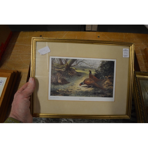 392 - Archibald Thorburn, partridge in flight, pencil signed print together with five other paintings and ... 