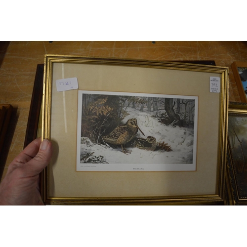 392 - Archibald Thorburn, partridge in flight, pencil signed print together with five other paintings and ... 