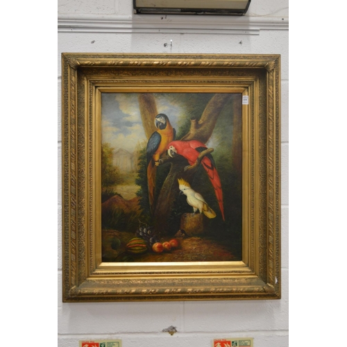 438 - A colourful oil on canvas depicting parrots perched on a tree branch in a decorative gilt frame.