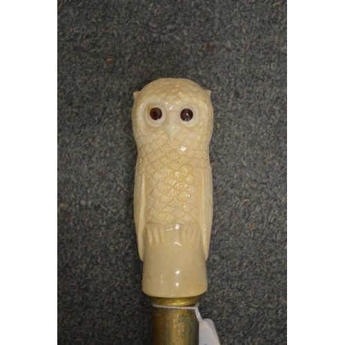 636 - A walking stick, the handle modelled as an owl.