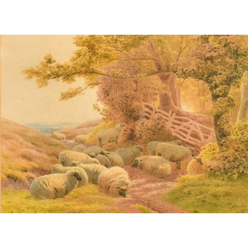 110 - Henry Birtles (1838-1907) British, sheep resting in a sunlit glade at the edge of a wood, watercolou... 