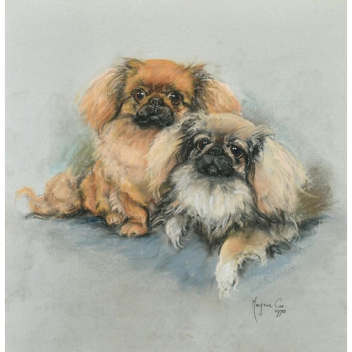 114 - Marjorie Cox (1915-2003) British, a portrait study of two Pekingese, pastel, signed and dated 1970, ... 