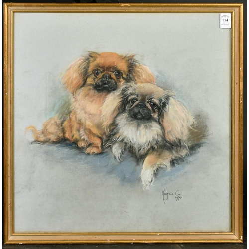 114 - Marjorie Cox (1915-2003) British, a portrait study of two Pekingese, pastel, signed and dated 1970, ... 