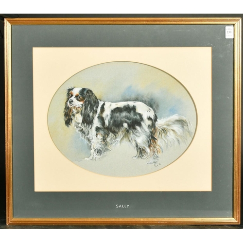 194 - 20th Century, A study of 'Sally', a King Charles Spaniel, watercolour, signed and dated '86, 12