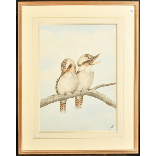 209 - Neville Henry Cayley, (1853-1903) Australian, Two Kookaburras sitting on a branch, watercolour, sign... 