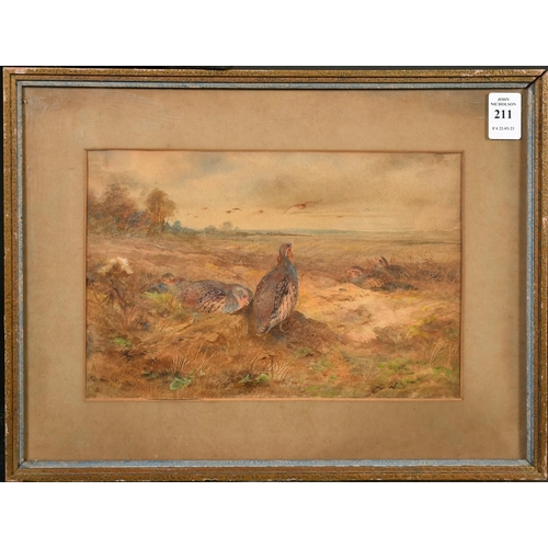 211 - James Stinton (1870-1961) British, Partridge in an open landscape, watercolour, signed, 6.5