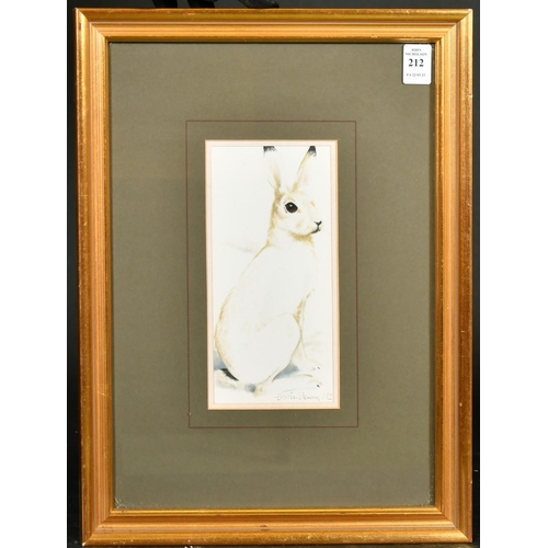 212 - Edwin Penny (b.1930) Study of a white rabbit, drawing, signed and dated '82, 7.75