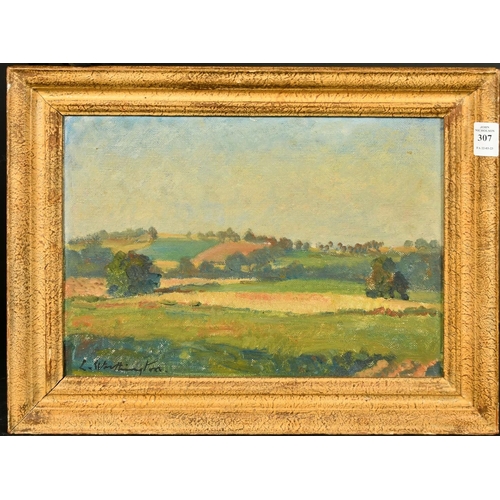 307 - L. Worthington, A rural landscape with green fields and trees, oil on board, signed, inscription ver... 