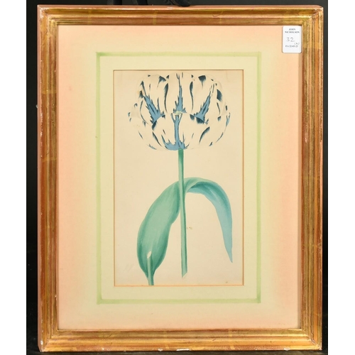 32 - A set of four 19th Century hand-coloured engravings of tulips, each 9.5