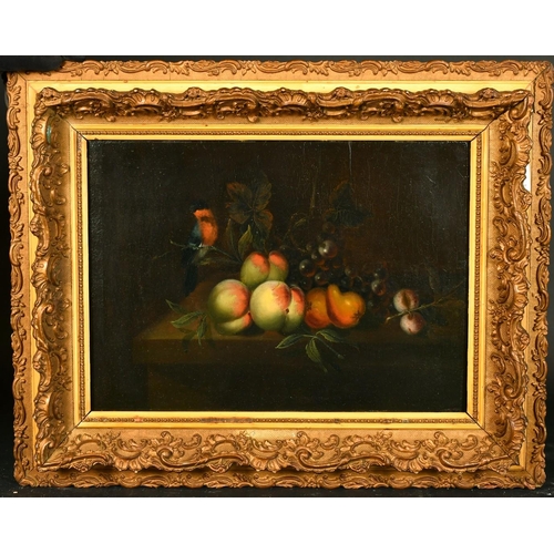 404 - 18th/19th Century Continental School, a still life of fruit with a bird perched on foliage, oil on b... 