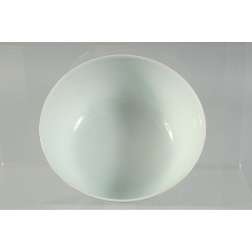 40 - A CHINESE COPPER RED AND GREEN PORCELAIN BOWL, with bamboo and foliate decoration, character mark to... 