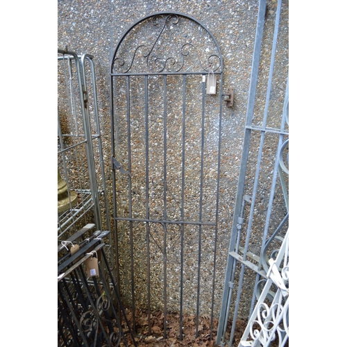 49 - Black painted wrought iron arched top single gate 193cm high x 60cm wide.