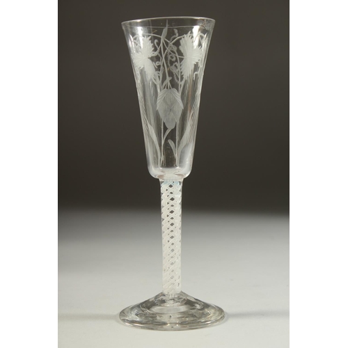 1073 - A GOOD 18TH CENTURY ENGLISH WINE GLASS with tapering bowl, engraved with hops, with white twist stem... 