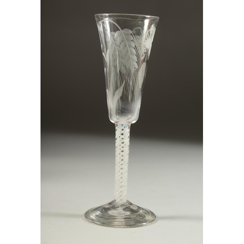 1073 - A GOOD 18TH CENTURY ENGLISH WINE GLASS with tapering bowl, engraved with hops, with white twist stem... 