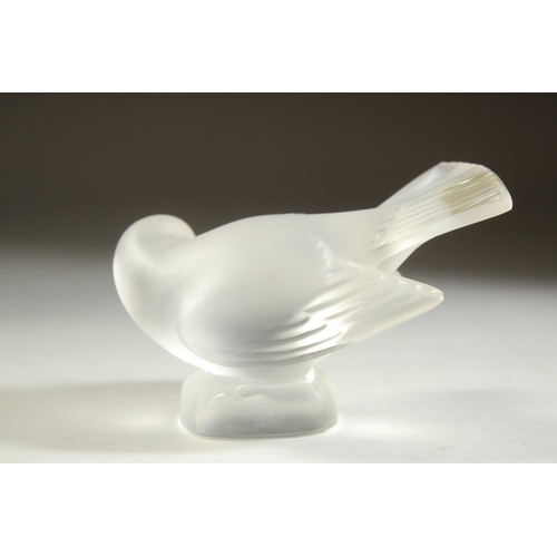 1102 - A LALIQUE FROSTED GLASS BIRD. Etched Lalique, France and Crystal Lalique label. 4ins high.