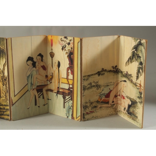 1195 - A CHINESE EROTIC BOOK