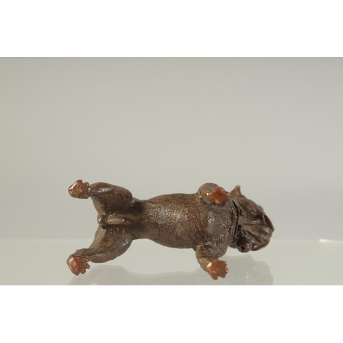 1210 - A JAPANESE BRONZE FIGURE OF A DOG. 7cm long.