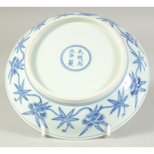 1219 - A CHINESE BLUE AND WHITE PORCELAIN DISH, decorated with flora. 21cm diameter.