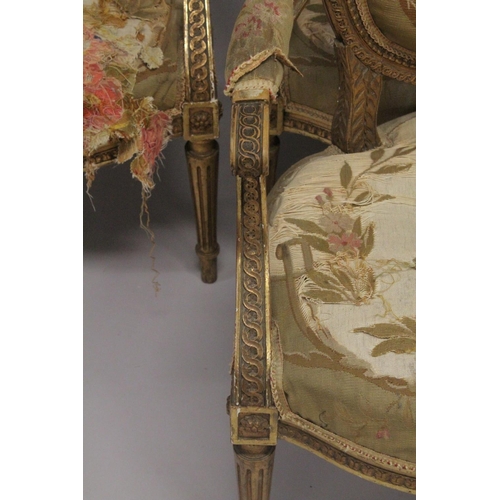 1016 - A GOOD SET OF FOUR LOUIS XVI 19TH CENTURY GILT ARMCHAIRS with oval backs and open arms, padded seats... 