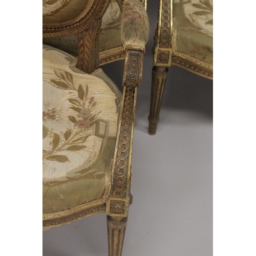 1016 - A GOOD SET OF FOUR LOUIS XVI 19TH CENTURY GILT ARMCHAIRS with oval backs and open arms, padded seats... 