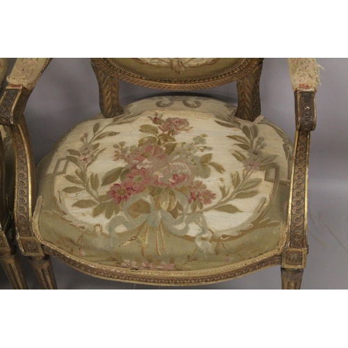 1016 - A GOOD SET OF FOUR LOUIS XVI 19TH CENTURY GILT ARMCHAIRS with oval backs and open arms, padded seats... 