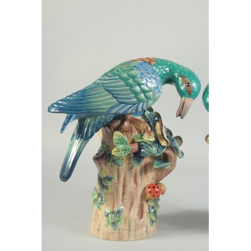 1122 - A PAIR OF PORCELAIN BIRD GROUPS on tree stumps, with fruit. 1ft high.