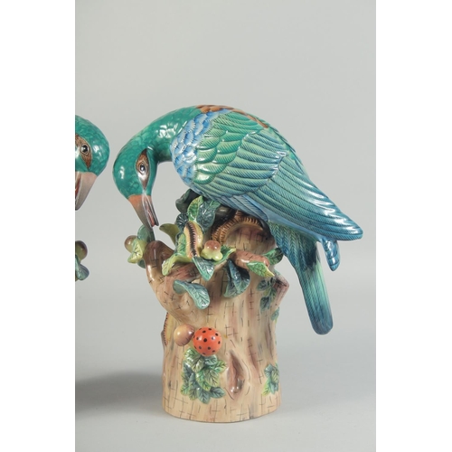 1122 - A PAIR OF PORCELAIN BIRD GROUPS on tree stumps, with fruit. 1ft high.