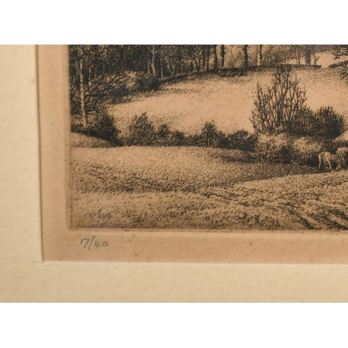 1 - Stanley Roy Badmin (1906-1989) British, 'Tanyard Farm, Sussex', etching, signed and numbered 17/40 i... 